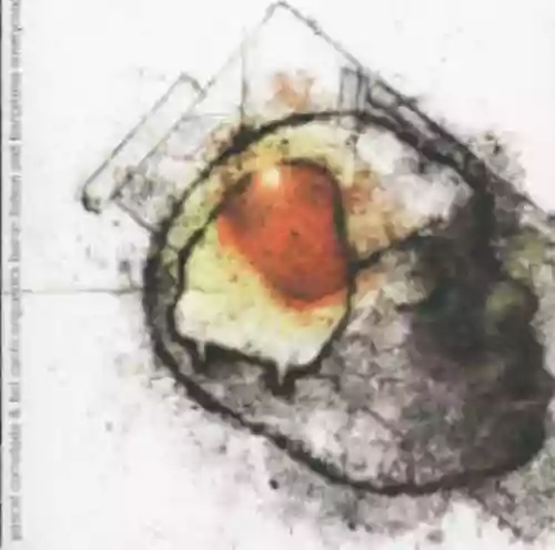 Cover di Live in Lisbon and Barcelona Ninetynine