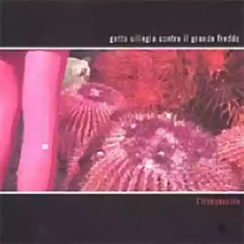 Cover di L'Irréparable