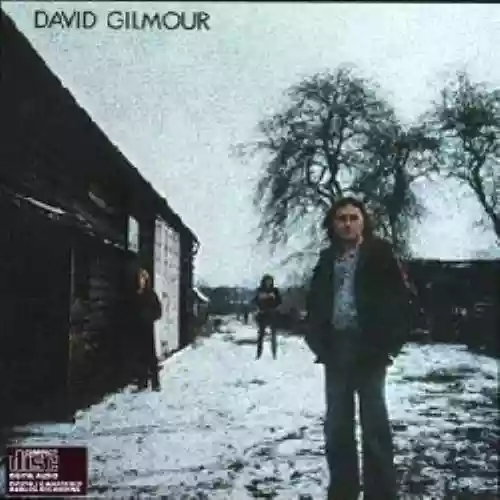 Cover di David Gilmour in Concert