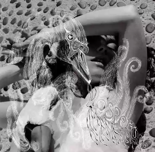 Cover Björk - Vespertine