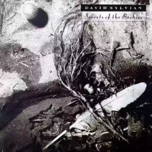 Cover di Secrets of  the Beehive