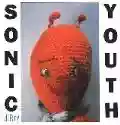 <b>Sonic Youth</b> • Dirty Live