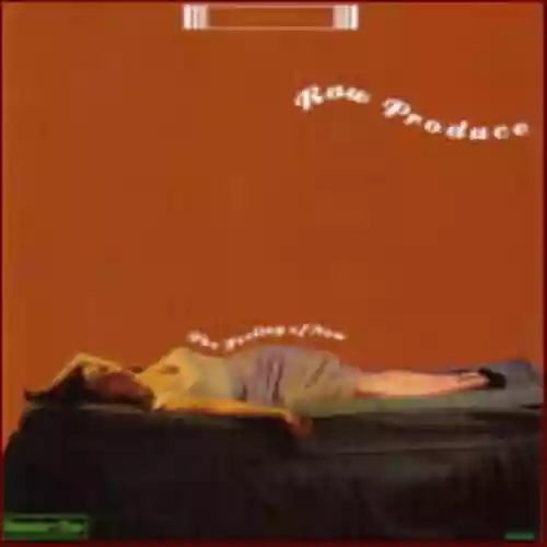 Cover Raw Produce - The Feeling Of Now LP