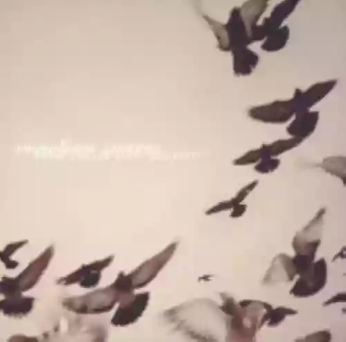 Cover di Rossz Csillag Alatt Szuletett
