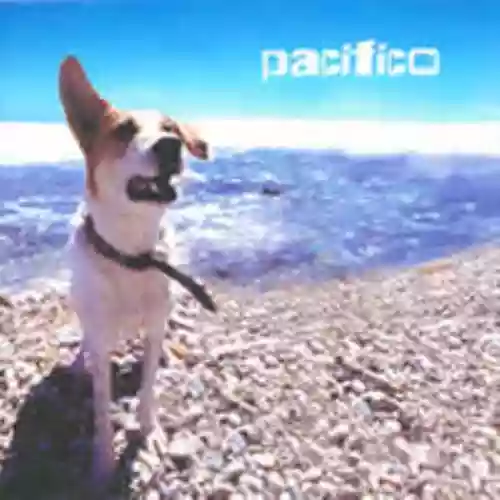 Cover di Pacifico