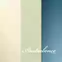 Cover of Ambulance Ltd Ambulance Ltd