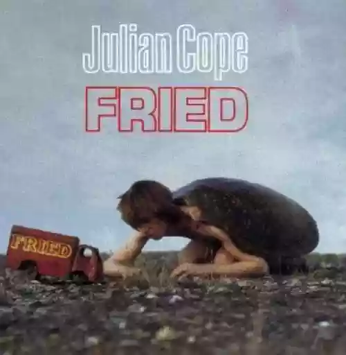 Cover Julian Cope - Fried