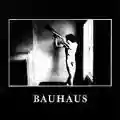 <b>Bauhaus</b> • In the Flat Field