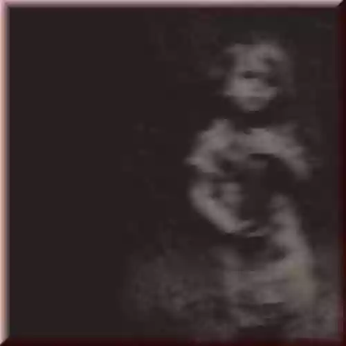 Cover di The Eerie Cold