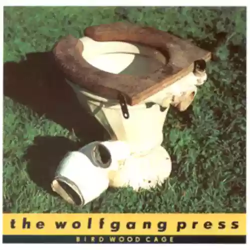 Cover The Wolfgang Press - Bird Wood Cage