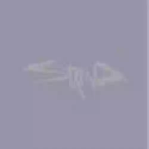 Cover di 14 Shades Of Gray