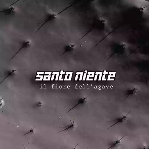 Cover di Il fiore dell'agave