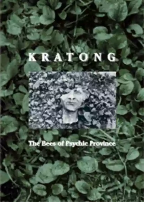 Cover di The Bees of Psychic Province