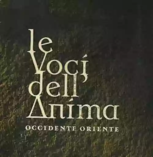 Cover di Live @ Bari, 5 Dicembre 2005