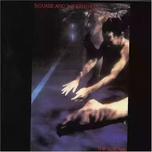 Cover di The Scream