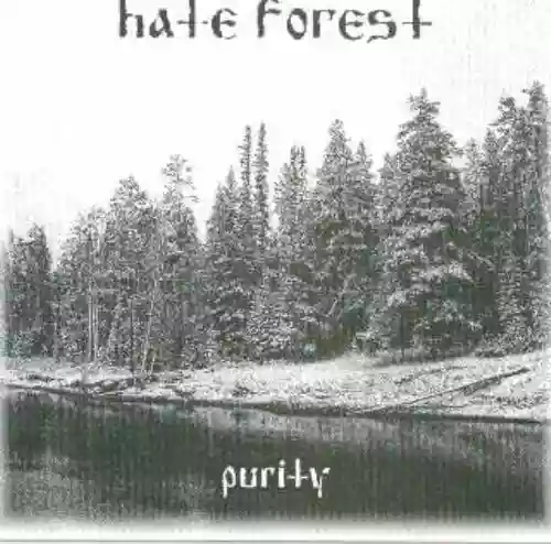 Cover di Purity