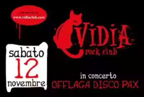 Cover di Live @ Vidia CESENA (FC) ( 12/11/2005 )