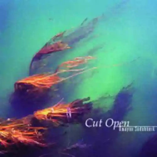 Cover di Cut Open
