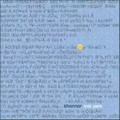 Cover Khonnor - Lost Pets EP