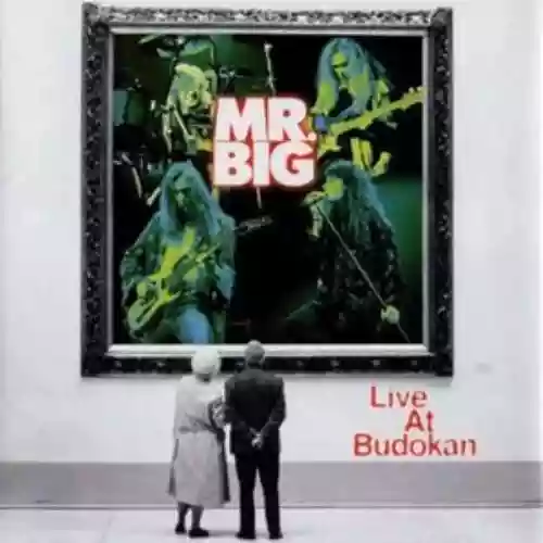 Cover di Live at Budokan