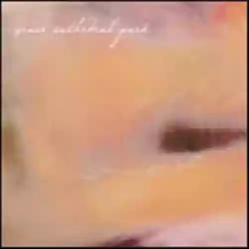 Cover di In The Evening Of Regret