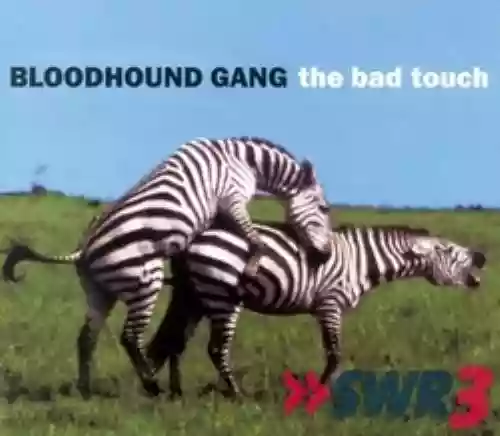 Cover di The Bad Touch (singolo)