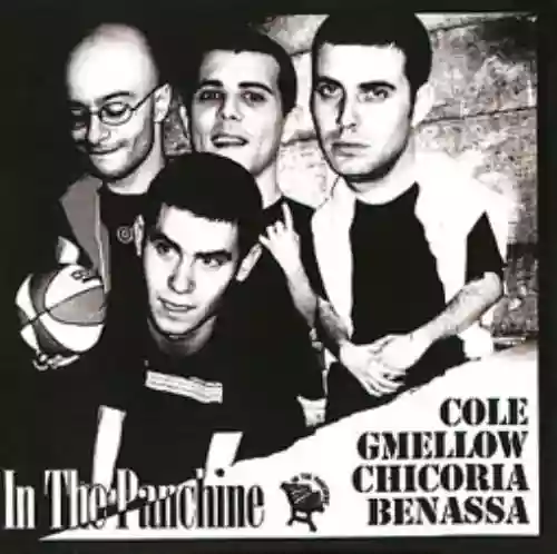 Cover di In The Panchine