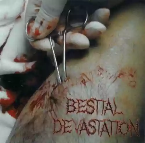 Cover di Sores, Blood And Pus