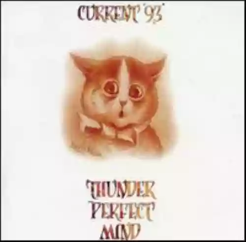 Cover di Thunder Perfect Mind