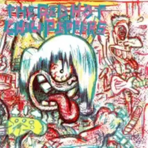 Cover di Red Hot Chili Peppers