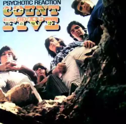 Cover Count Five - Psychotic Reaction