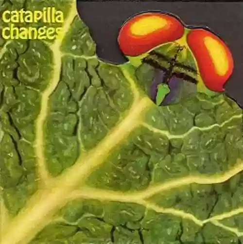 Cover di Changes