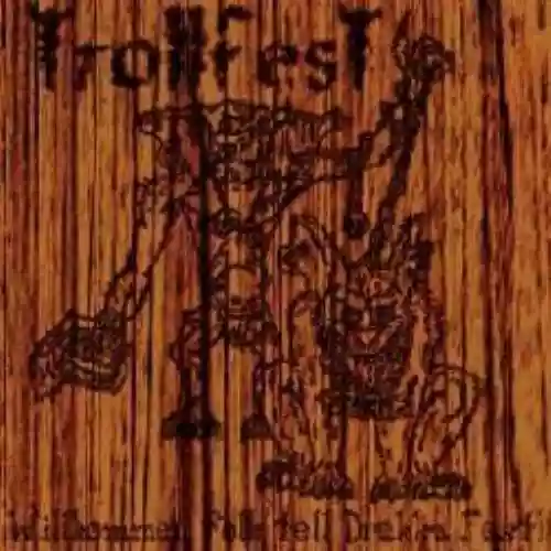Cover di Willkommen folk tell drekka fest