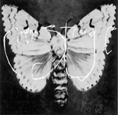 Cover Cinema Strange - Cinema Strange