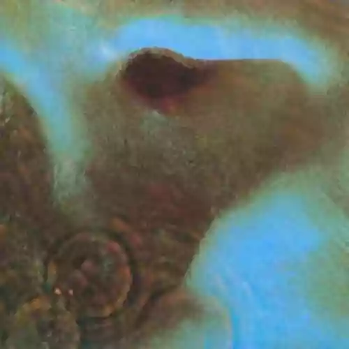 Cover di Meddle: Limited Edition Trance Remix