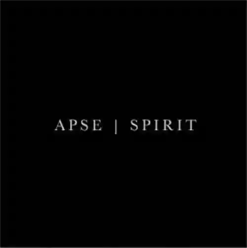 Cover di Spirit