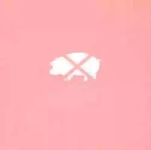 Cover di Fluxus