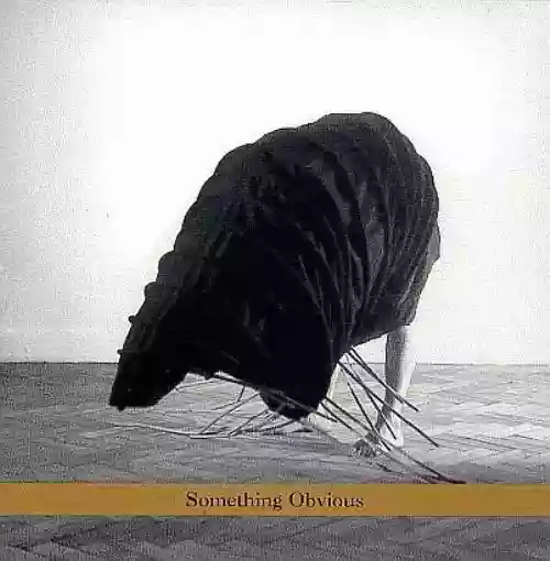 Cover di Something Obvious