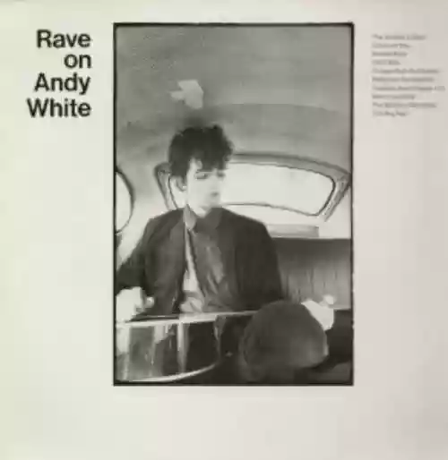Cover Andy White - Rave on Andy White