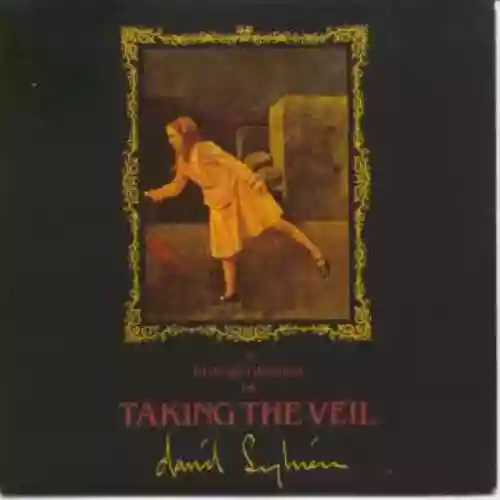 Cover di Taking The Veil (12")