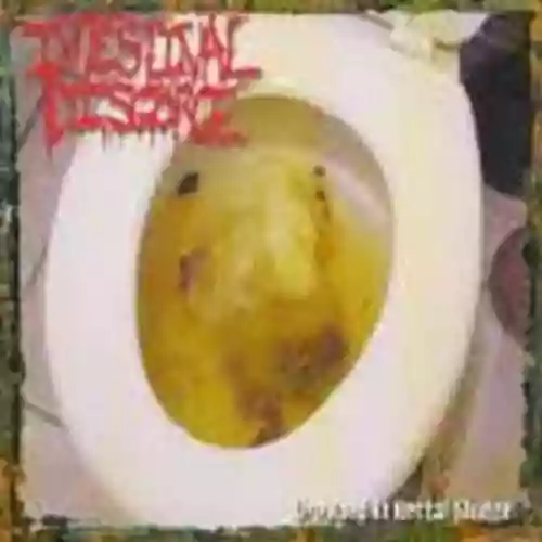 Cover di Drowned in Rectal Sludge