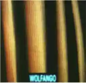 Wolfango: Wolfango