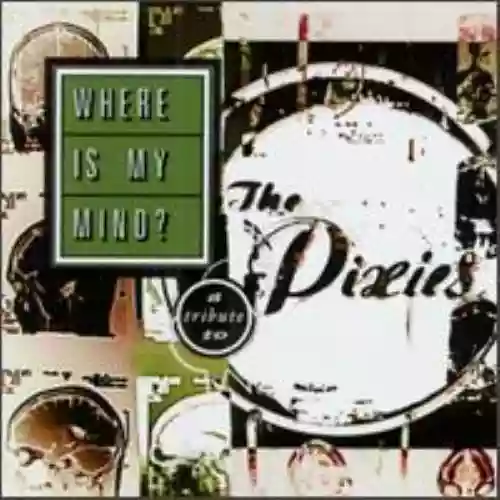 Cover di Where Is My Mind