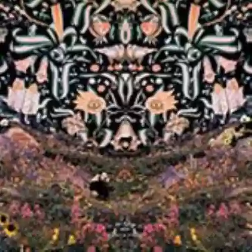 Cover di Panda Park