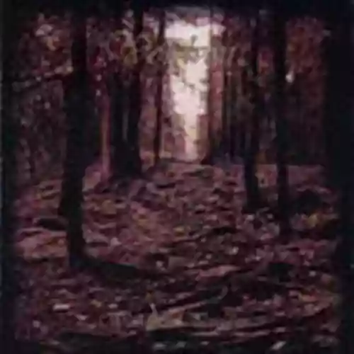 Cover di Woodland Passage