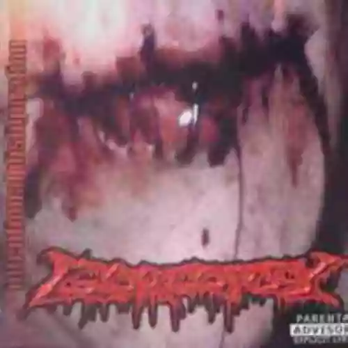 Cover di Intentional Disfiguration