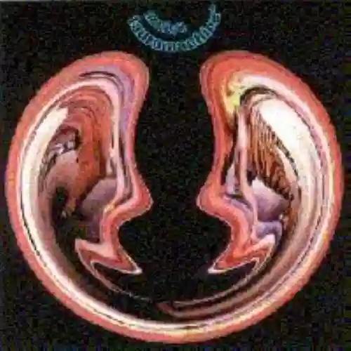 Cover di Tauromachine
