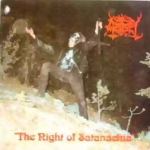 Cover di The Night of Satanachia
