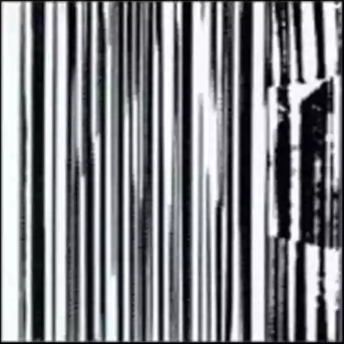 Cover The Dead C - Harsh 70's Reality