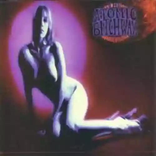 Cover di Atomic Bitchwax